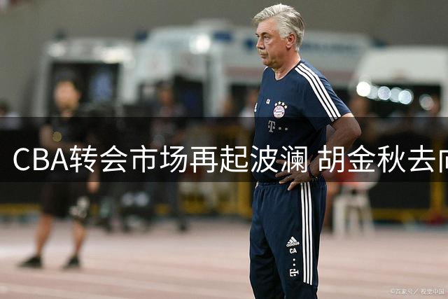 CBA转会市场再起波澜 胡金秋去向成今夏最大悬念